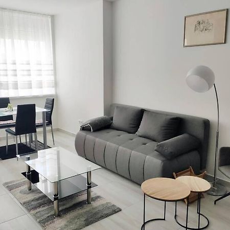 Plaza Apartman - City Center, Free Parking, Free Wifi Debrecen Dış mekan fotoğraf