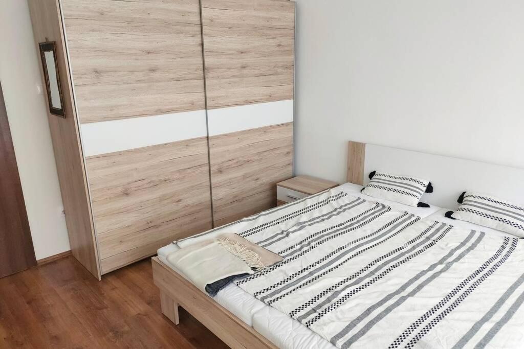 Plaza Apartman - City Center, Free Parking, Free Wifi Debrecen Dış mekan fotoğraf
