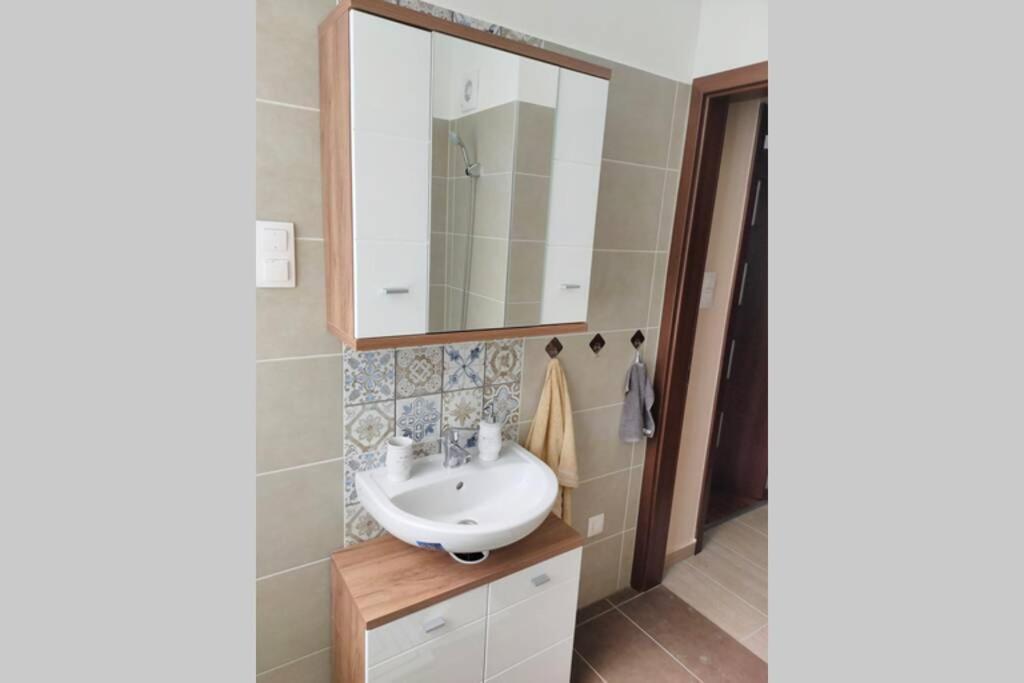 Plaza Apartman - City Center, Free Parking, Free Wifi Debrecen Dış mekan fotoğraf